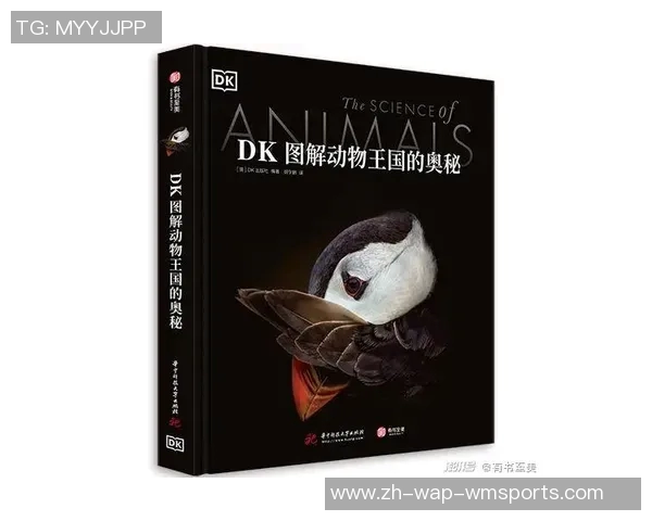 罗森与海的较量探索两者之间的深层联系与影响力分析 罗森与海的较量探索两者之间的深层联系与影响力分析